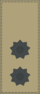Insignia - South African Armed Forces - Lieutenant.png