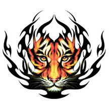 Logo of Tigra Tribe