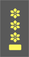 Insignia - Belgian Army - Colonel.png