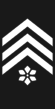 Insignia - Belgian Army - 1st Master Sergeant.png