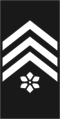 Insignia - Belgian Army - 1st Master Sergeant.png