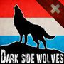Dark Side Wolves CH.jpg