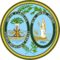 Coat of Arms of South Carolina