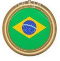 STARS - Brazilian Campaign Medal.jpg
