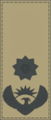 Insignia - South African Armed Forces - Lieutenant Colonel.png