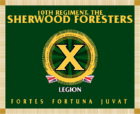 Colour - 10th Regiment The Legion.png